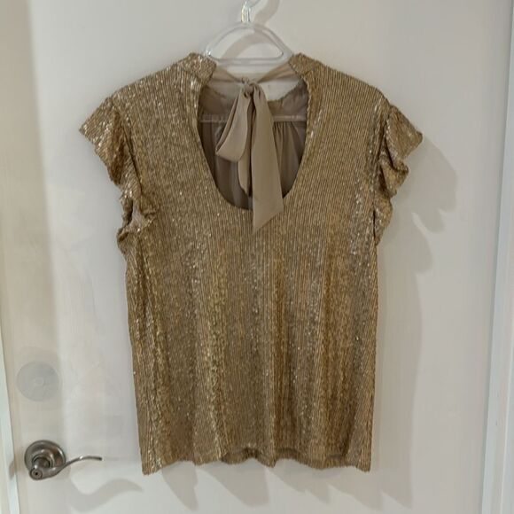 DR2 Champagne Gold matte sequin ruffle cap sleeve top  party holiday top S NWT - Picture 8 of 14